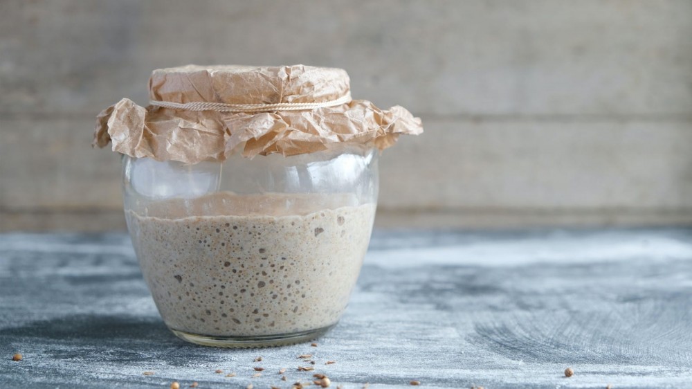 Covered sourdough discard/starter in a jar